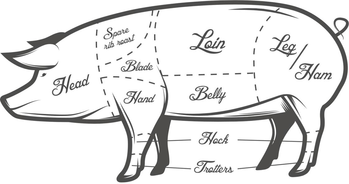 Тушь свинину. Рисунок туши свинины. Рисунок туши свиньи. Схема разделки свиной туши вектор. Разделка свиньи рисунок.